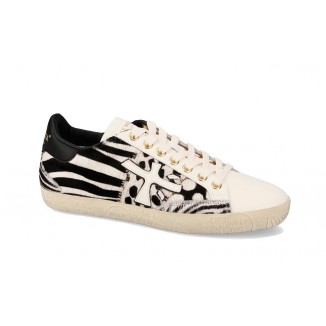 PREMIATA STEVEND 7611